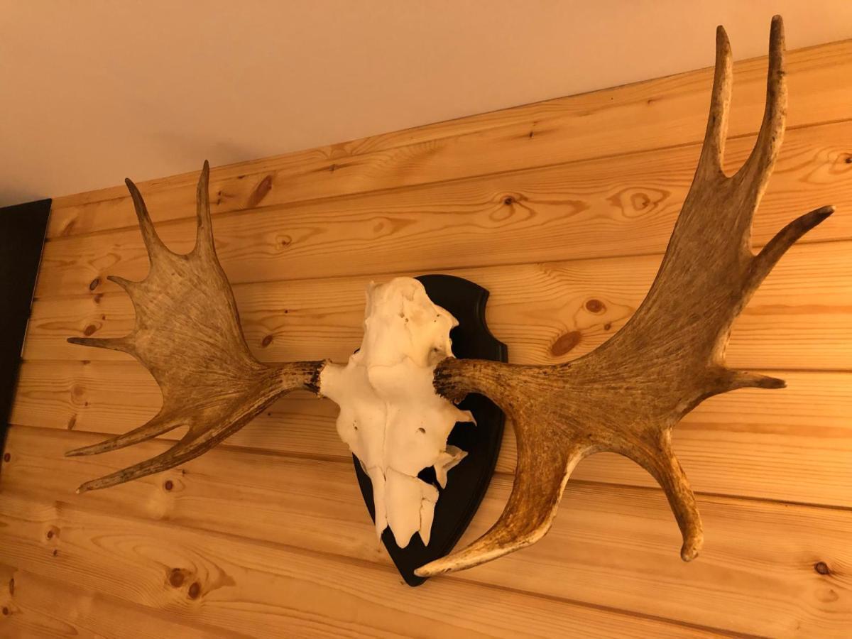 Chalet De Charme, Le "Caribou Lodge", Eifel Belge Bullange Luaran gambar