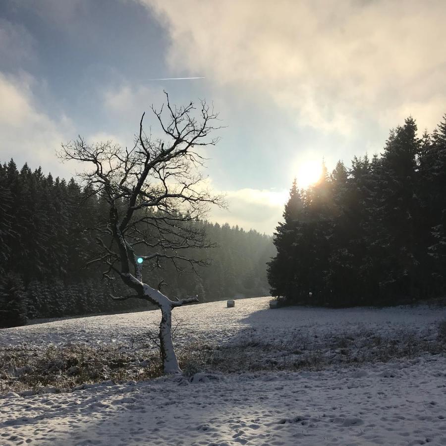 Chalet De Charme, Le "Caribou Lodge", Eifel Belge Bullange Luaran gambar